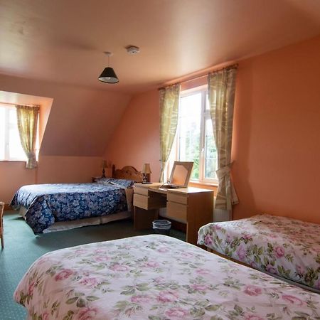 Ferryview B&B V23 X577 Cahersiveen Exterior foto